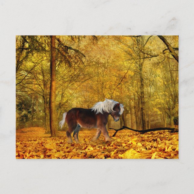 Cartão Postal Cavalo de outono (Frente)