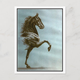 Cartão Postal Cavalo de raça negra
