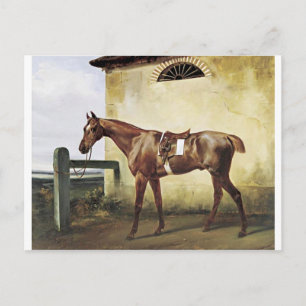 Cartão Postal Cavalo de Raça Selado Ligado a Cerca de Horace Ver