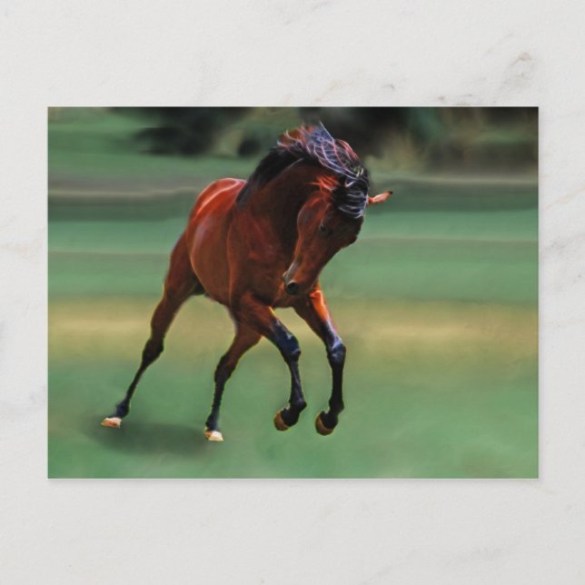 Cartão Postal Cavalo de Rodeo para o vaqueiro (Frente)