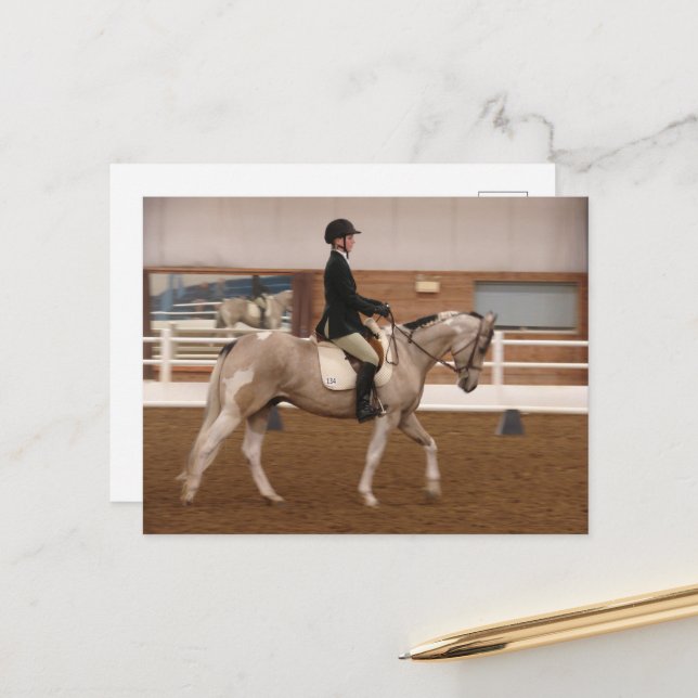 Cartão Postal Cavalo de Tinta em um Show de Cavalos (Frente/Verso In Situ)