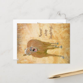 Cartão Postal Cavalo divertido - Cartão-postal