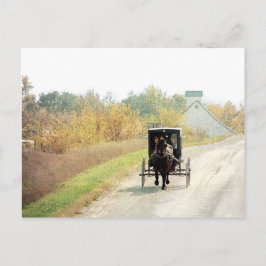 Cartão Postal Cavalo e carrinho de Amish do outono