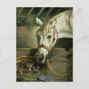 Cartão Postal Cavalo e gatinhos, 1890