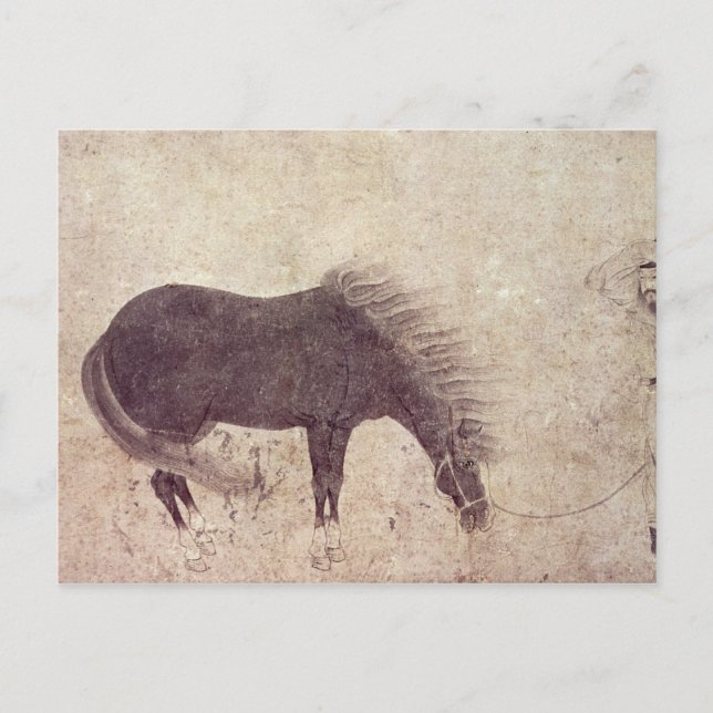 Cartão Postal Cavalo e Groenlândia no inverno (Frente)