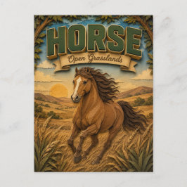 Cartão Postal Cavalo em Campos Abertos POPCUT
