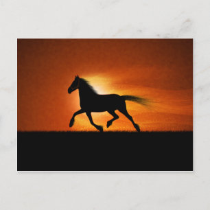 Cartão Postal Cavalo em Execução
