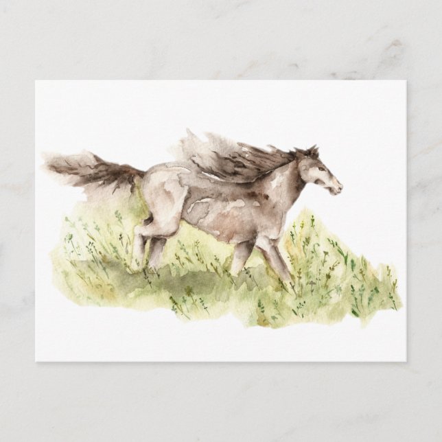 Cartão Postal Cavalo em Execução (Frente)