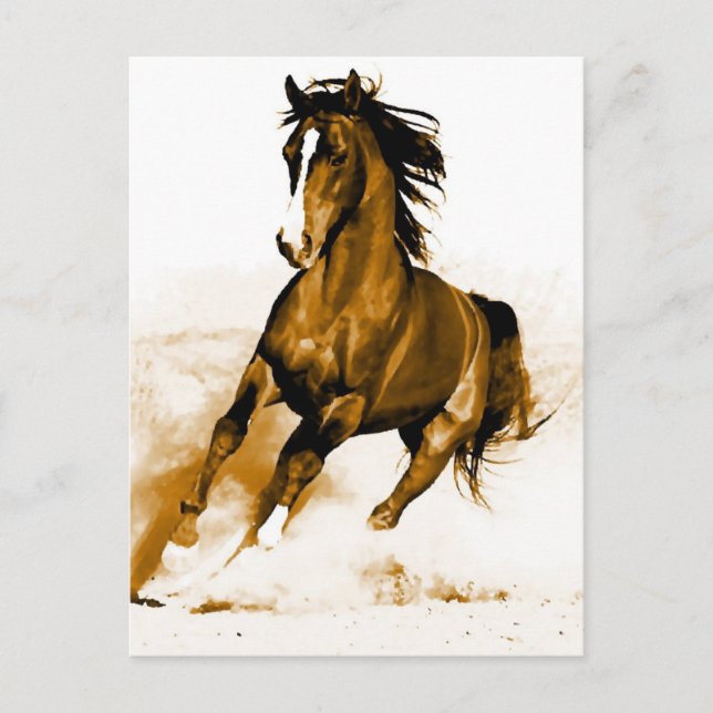 Cartão Postal Cavalo em Execução (Frente)