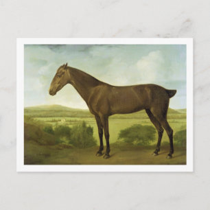 Cartão Postal Cavalo em uma paisagem montanhosa, c.1780-1800 de