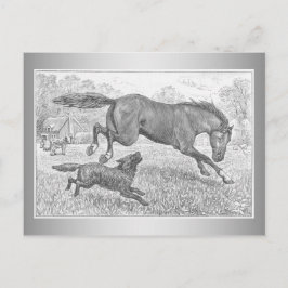 Cartão Postal Cavalo Escuro e Cão