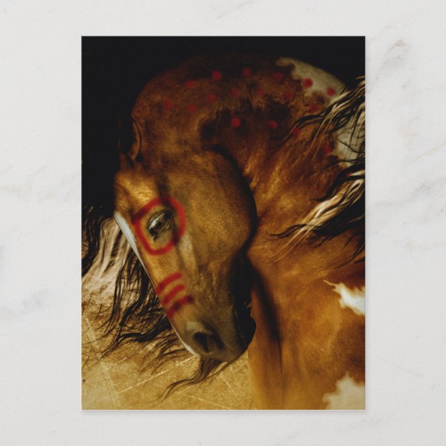 Cartão Postal Cavalo Espírito (Frente)