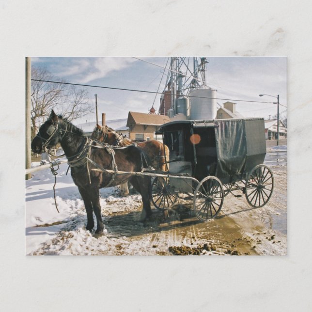 Cartão Postal Cavalo estacionado e Buggy (Frente)
