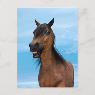 Cartão Postal Cavalo Feliz
