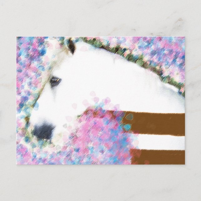 Cartão Postal Cavalo & Floral (Frente)