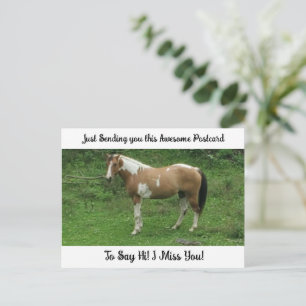 Cartão Postal Cavalo Fofo "Sinto Saudades de VOCÊ" Dizendo Olá C