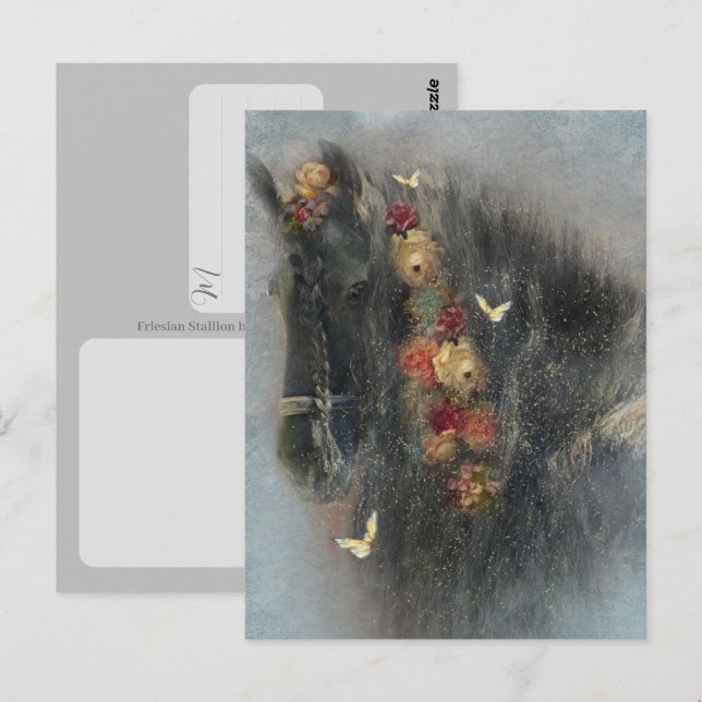 Cartão Postal Cavalo Frísia - Cartão-postal (Frente/Verso)