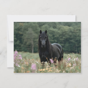 Cartão Postal Cavalo Frísia num Campo de Flor Selvagem