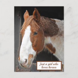 Cartão Postal Cavalo Ginger na Fazenda Apenas uma garota que ama