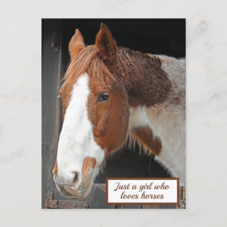 Cartão Postal Cavalo Ginger na Fazenda Apenas uma garota que ama