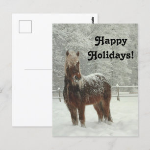 Cartão Postal Cavalo islandês no inverno, foto de feriados feliz