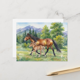 Cartão Postal Cavalo Islandês Sola e Potro em Prado de Montanha