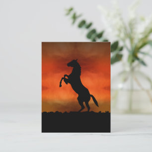 Cartão Postal Cavalo Livre Ao Pôr-do-Sol