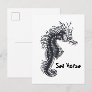 CARTÃO POSTAL CAVALO-MARINHO
