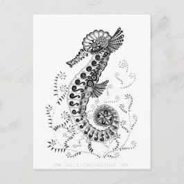 Cartão Postal Cavalo-marinho 10 Anos