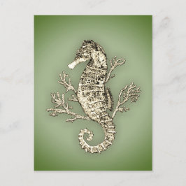Cartão Postal Cavalo-marinho e coral em fundo verde