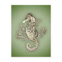 Cavalo-marinho e coral em fundo verde