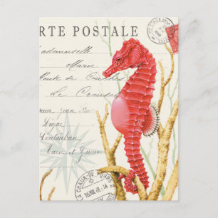 Cartão Postal cavalo-marinho moderno vintage
