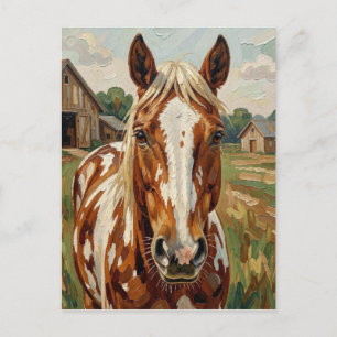 Cartão Postal Cavalo Marrom e Branco Bonito   Mantendo Contato