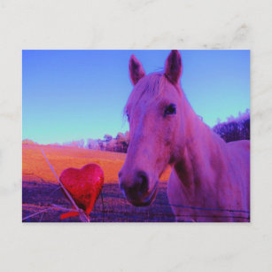 Cartão Postal Cavalo Marrom e Coração Vermelho