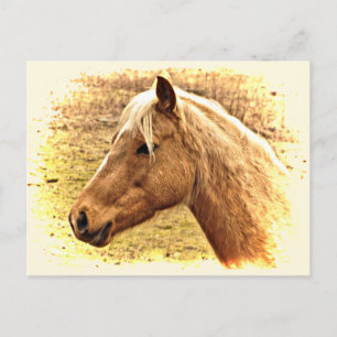 Cartão Postal Cavalo Marrom ouro no Sun Animal Postcard