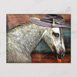 Cartão Postal Cavalo Modesto
