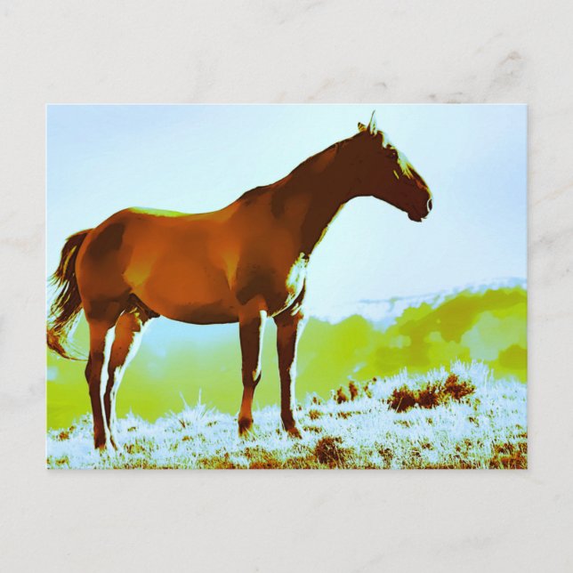 Cartão Postal *~* Cavalo - Montanhas do Monte AR22 Artístico Equ (Frente)