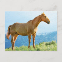 *~* Cavalo - Montanhas Hill AR22 Equine Watercolor
