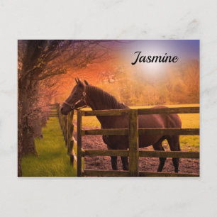 Cartão Postal Cavalo na Paddock Personalizado