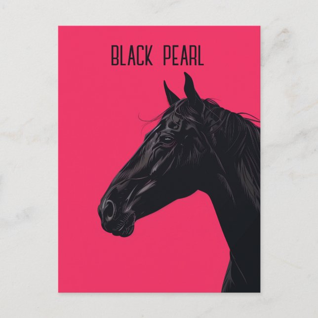 Cartão Postal Cavalo Negro (Frente)