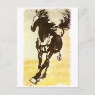 Cartão Postal Cavalo Negro