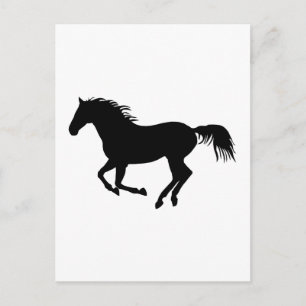 Cartão Postal Cavalo negro 1