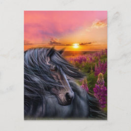Cartão Postal Cavalo Negro Selvagem para sempre