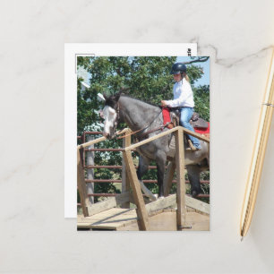 Cartão Postal Cavalo numa Feira de Classe de Trilha de Ponte