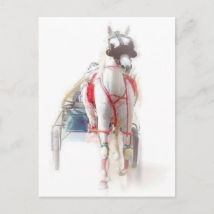Cartão Postal Cavalo-Padrão