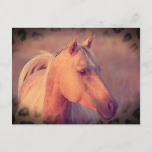 Cartão Postal Cavalo Palomino