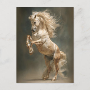 Cartão Postal Cavalo Palomino Criação Decoupage