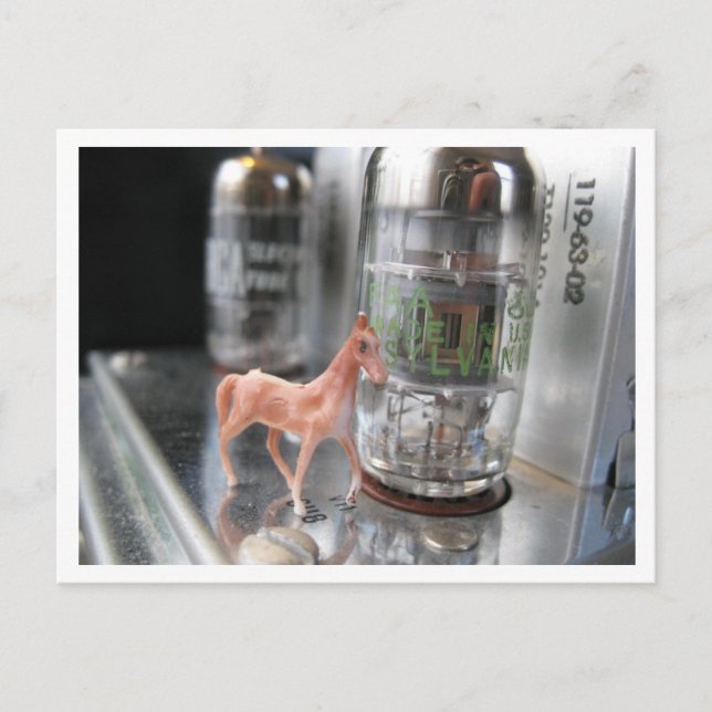 Cartão Postal Cavalo pequeno na Vintage McIntosh (Frente)