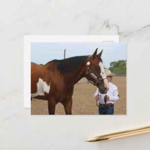 Cartão Postal Cavalo Pintado de Exibição