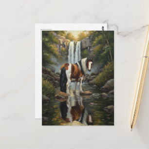 Cartão Postal Cavalo Pinto Deslumbrante na Cachoeira